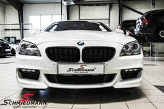 F06/F12/F13 dubultais grils