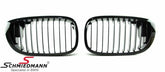E46 Coupe Grill (2003-)