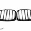 E81/E82/E87/E88 (Not M-tech) Grill