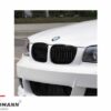 E81/E82/E87/E88 (Not M-tech) Grill