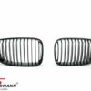 E81/E82/E87/E88 (Not M-tech) Grill