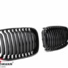 E81/E82/E87/E88 (Not M-tech) Grill