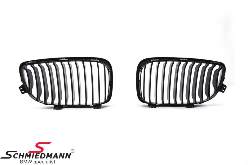 E81/E82/E87/E88 (Not M-tech) Grill