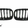 E83 (-2006) Grill